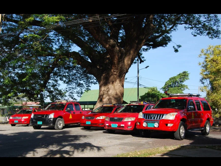 taxilir-taxis-under-very-old-guanacaste-tree